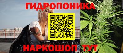 хмурый Краснознаменск