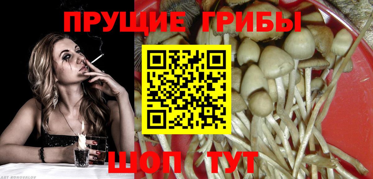 Кизилюрт  Псилоцибиновые грибы MAGIC MUSHROOMS  цены наркотик  Вход с VPN 